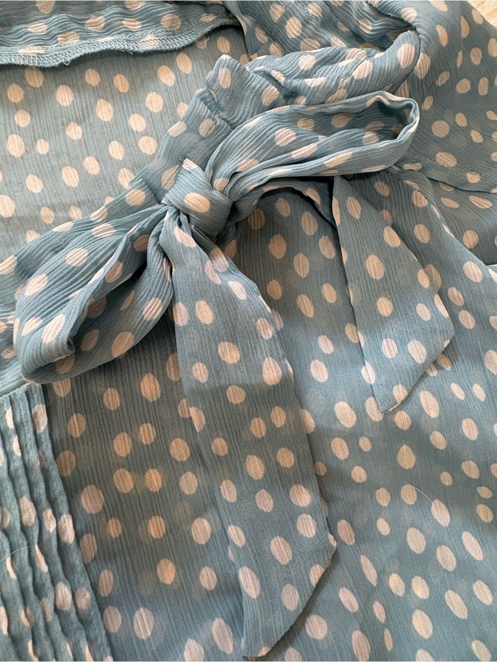 Women’s Blue Polka Dot Tie-Neck Blouse